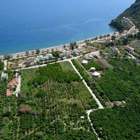 Saronis