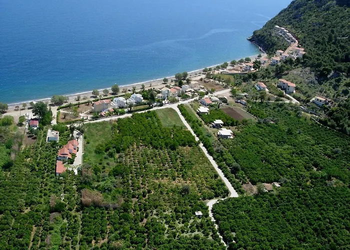 Saronis